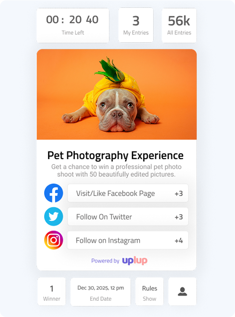 Pet Photography Experience Contest